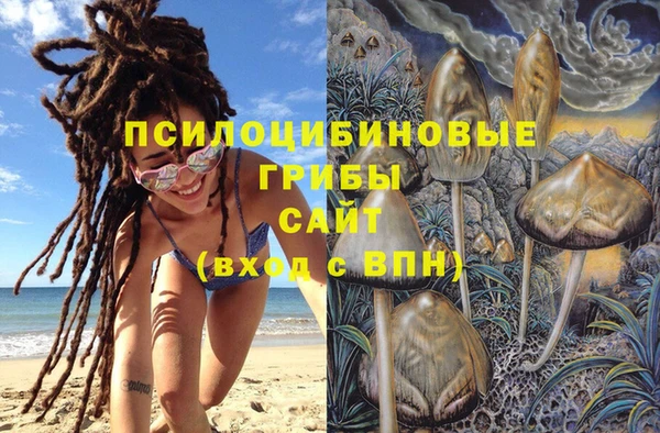 ECSTASY Белокуриха