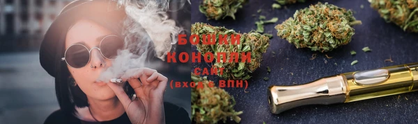 ECSTASY Белокуриха