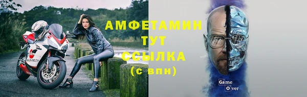 первитин Богданович