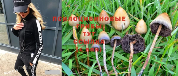 первитин Богданович