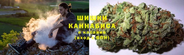 ECSTASY Белокуриха