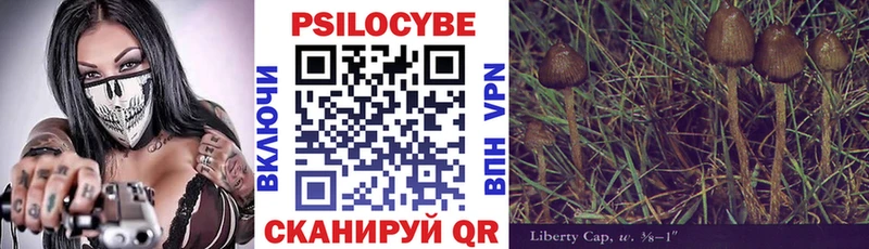 hydra зеркало  магазин  наркотиков  Бахчисарай  Псилоцибиновые грибы Psilocybe 